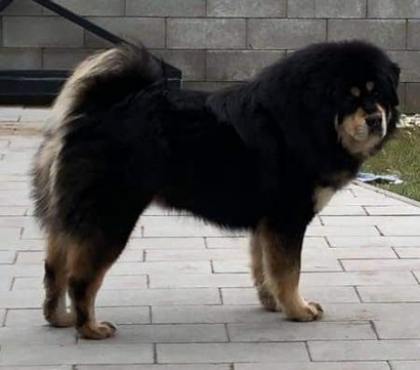 winnie7