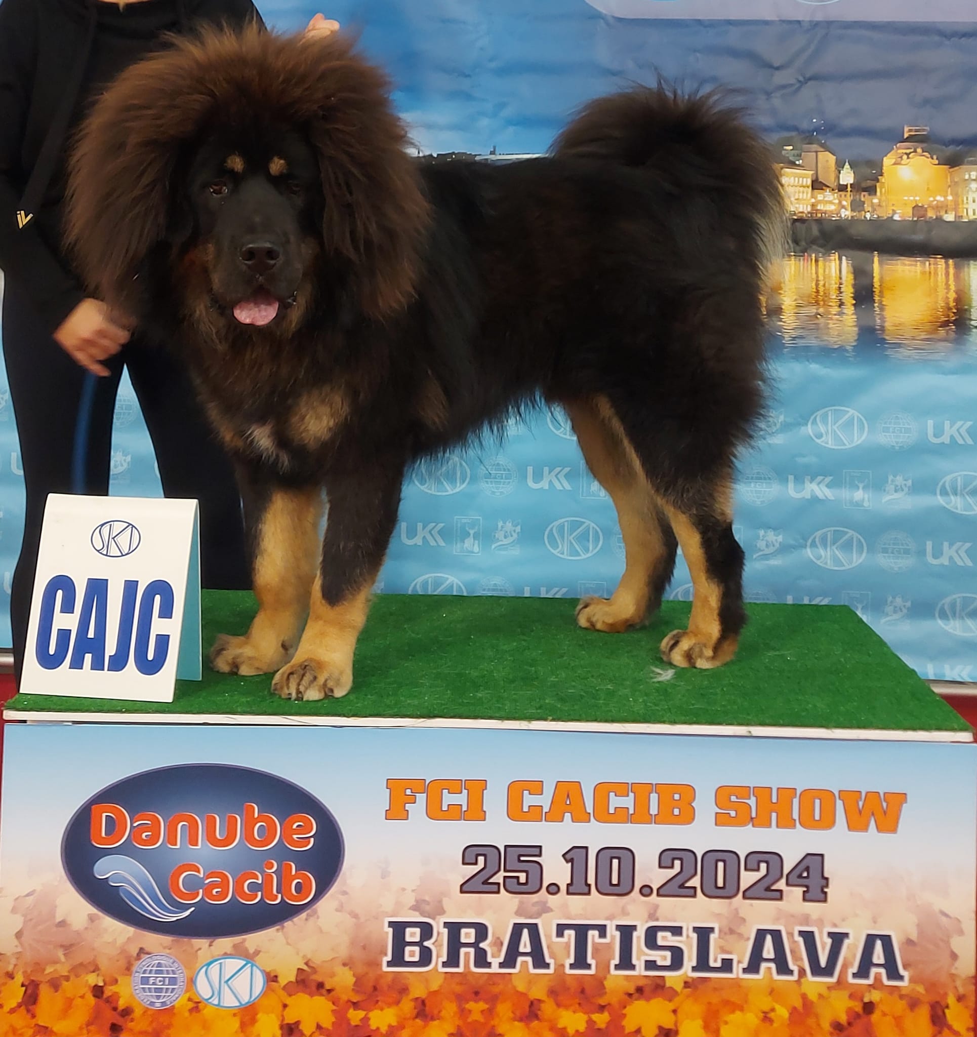 balu9