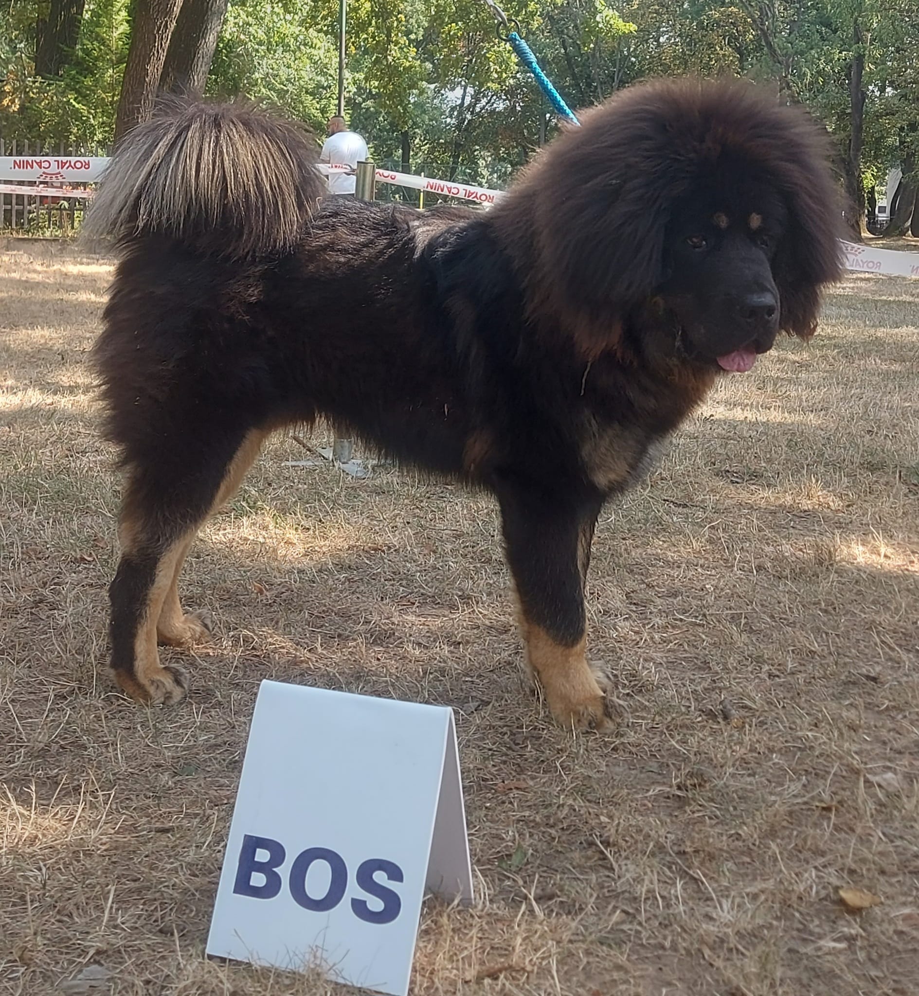 balu13