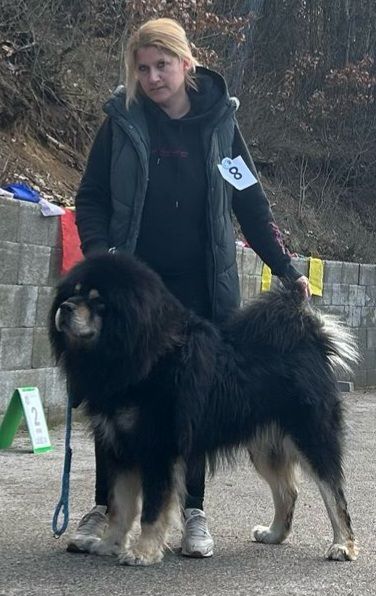 ursus18