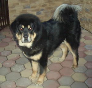 khandro1yearb.jpg