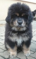 winnie-2-monthsa.jpg