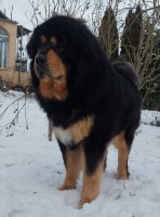 leila12.jpg