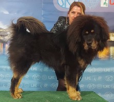 balu14.jpg